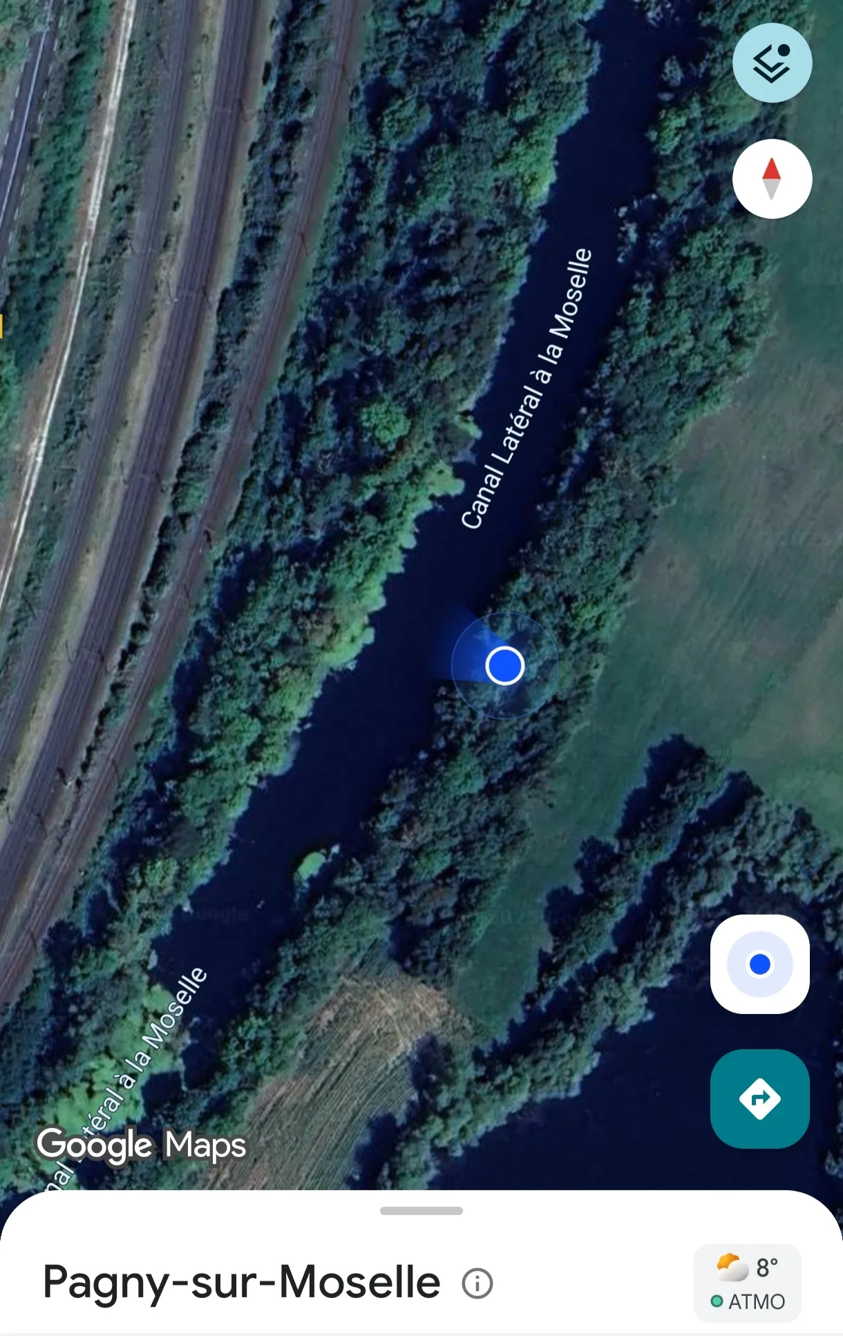 Photo du nid de frelon asiatique signalé à Arnaville