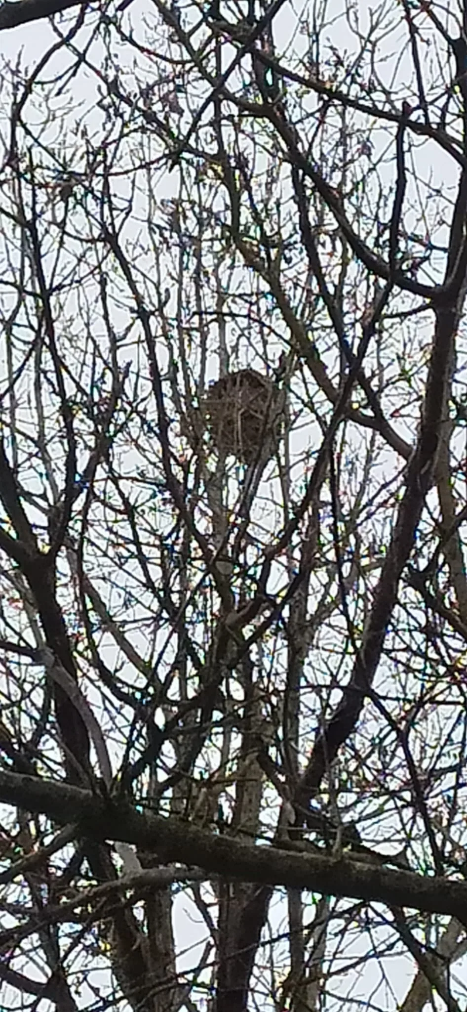 Photo du signalement #763