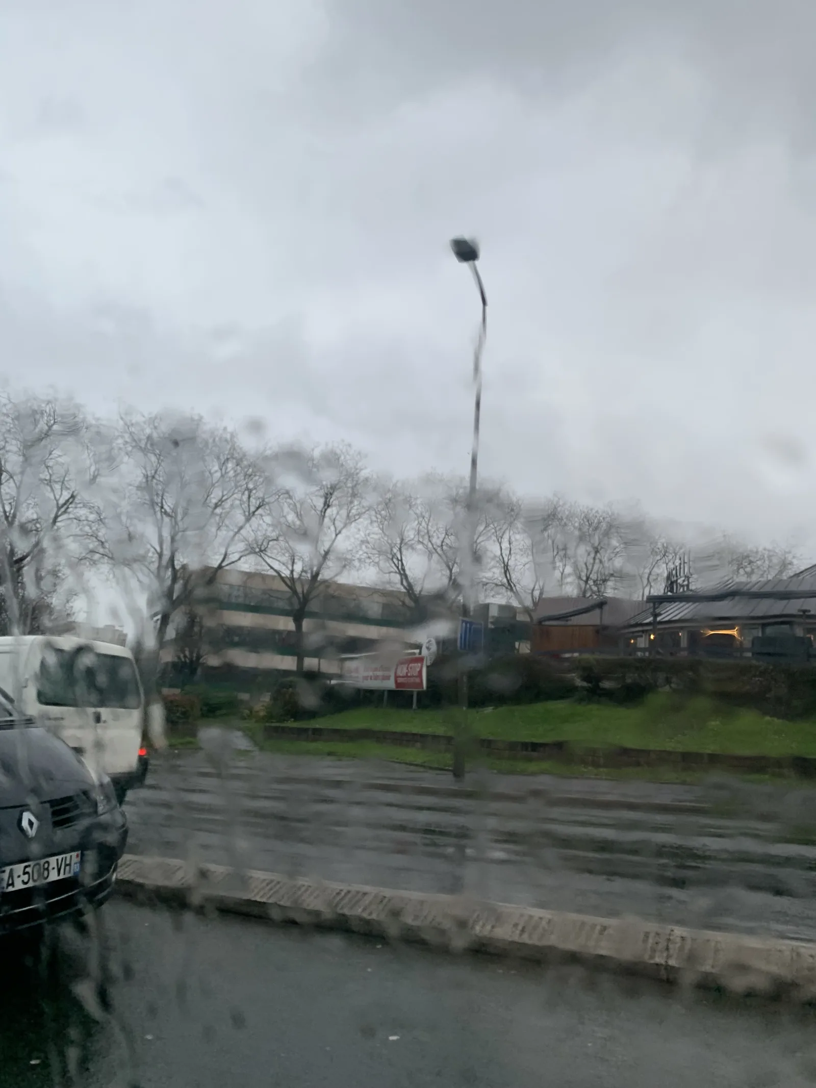 Photo du nid de frelon asiatique signalé à Rosny-sous-Bois