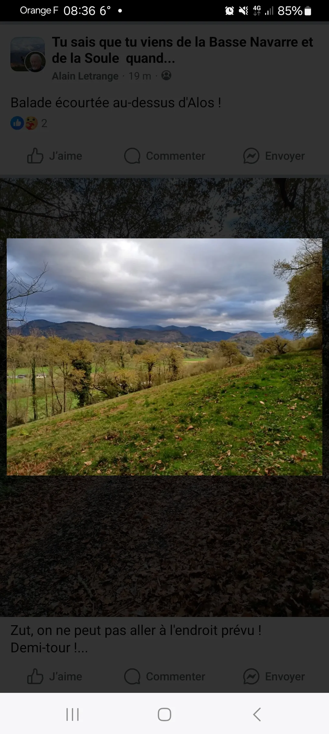 Photo du nid de frelon asiatique signalé à Alos