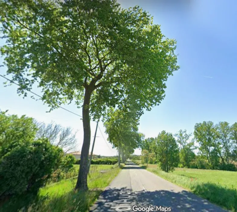 Photo du nid de frelon asiatique signalé à Verdun-sur-Garonne