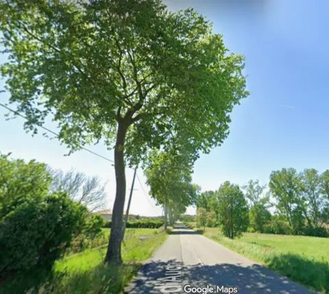 Nid de frelon asiatique à Verdun-sur-Garonne (82) — Confirmé