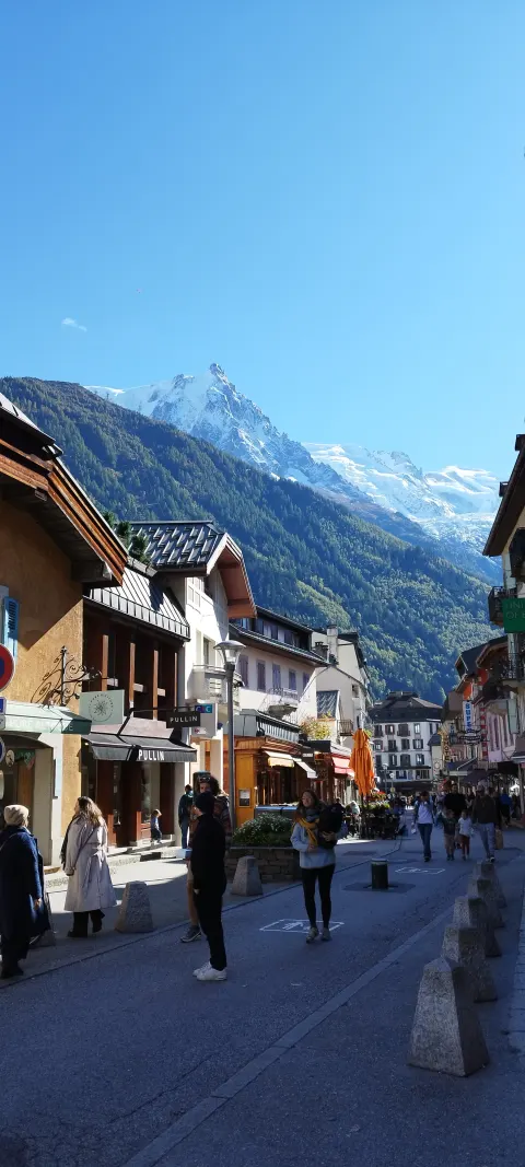 Nid de frelon asiatique à Alex (74) — Neutralisé