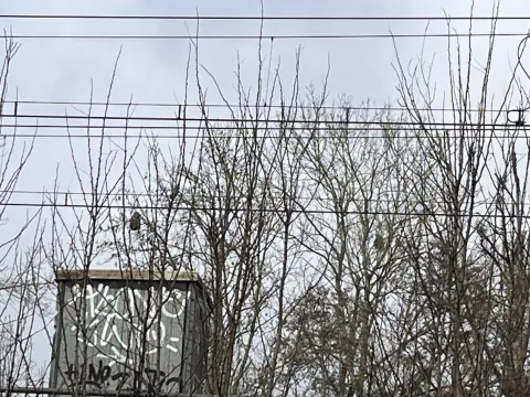 Photo du signalement #789