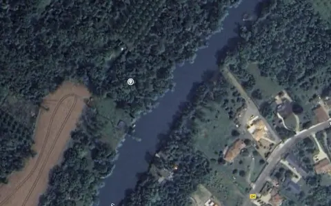 Nid de frelon asiatique à Beaumont Saint-Cyr (86) — Confirmé