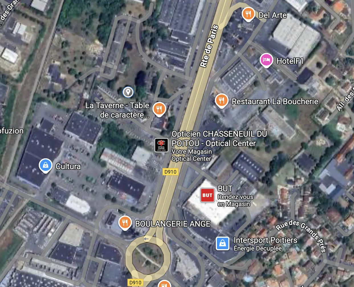 Photo du nid de frelon asiatique signalé à Chasseneuil-du-Poitou