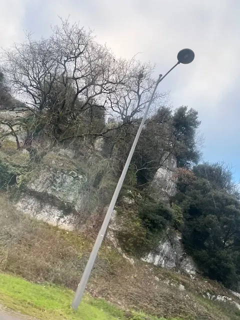 Nid de frelon asiatique à Poitiers (86) — Confirmé