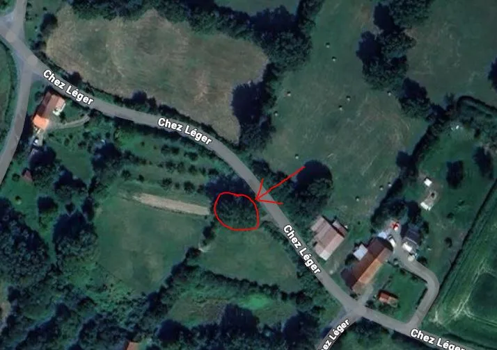 Photo du nid de frelon asiatique signalé à Bétête