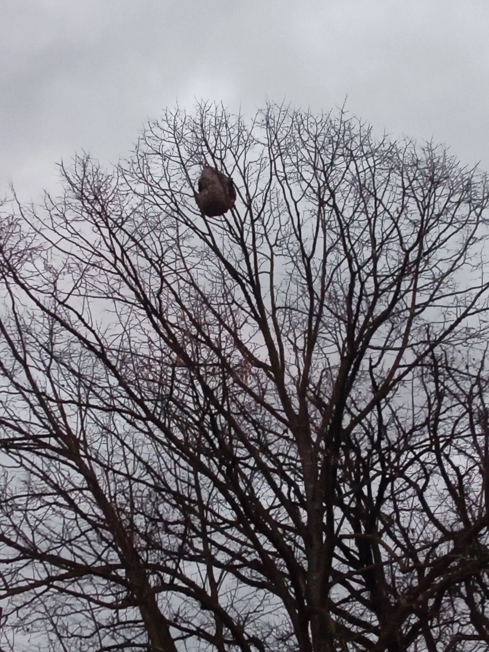 Photo du autre signalé à Sablé-sur-Sarthe