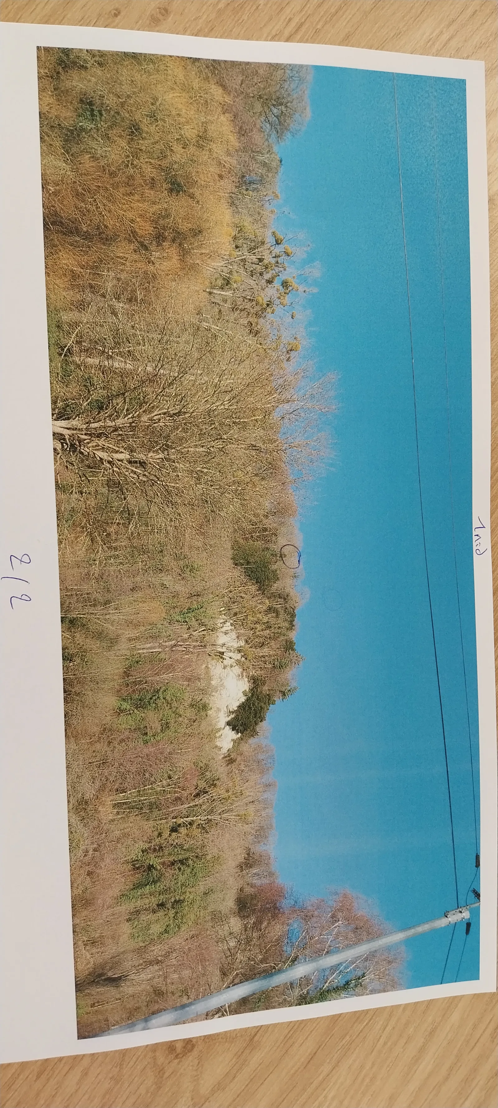 Photo du signalement #833