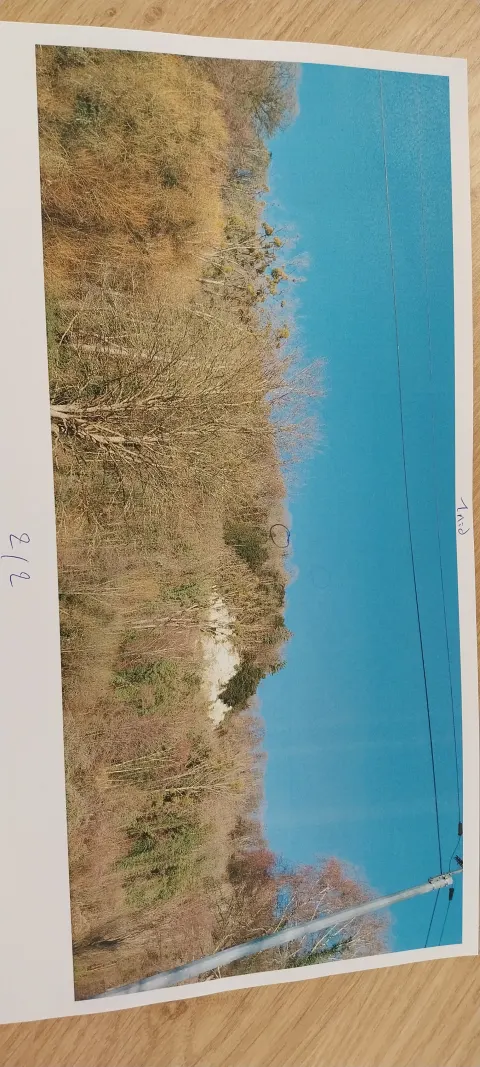 Photo du signalement #833