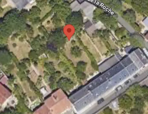 Nid de frelon asiatique à Poitiers (86) — Confirmé