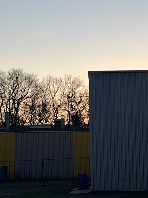 Photo du nid de frelon asiatique signalé à Naintré