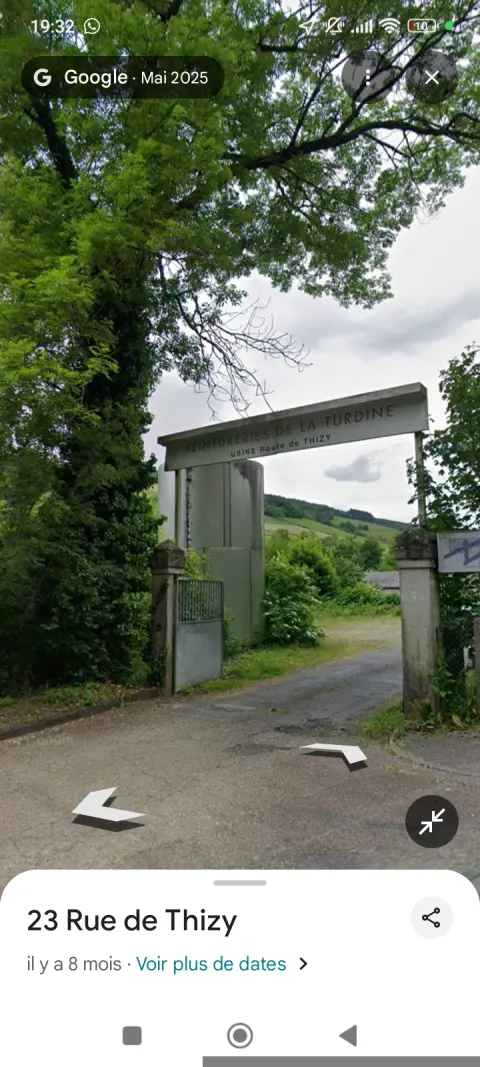 Nid de frelon asiatique à Vindry-sur-Turdine (69) — Confirmé