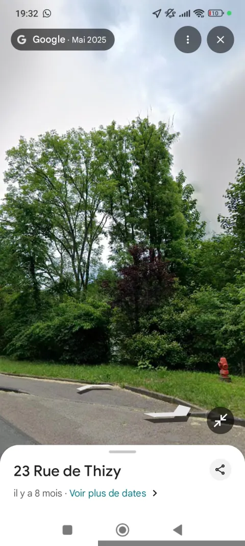 Photo du signalement #862