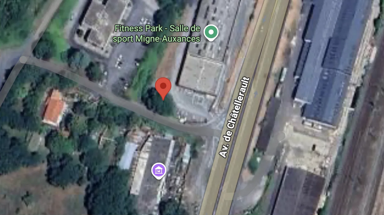 Photo du nid de frelon asiatique signalé à Migné-Auxances