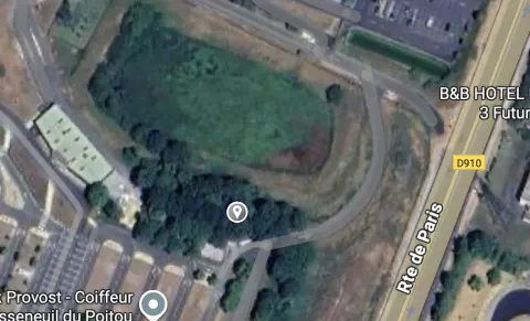 Nid de frelon asiatique à Chasseneuil-du-Poitou (86) — Confirmé