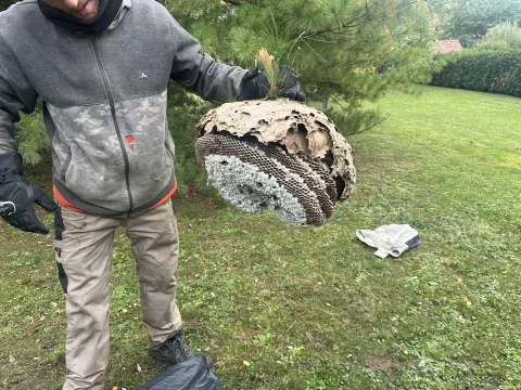 Photo du signalement #872