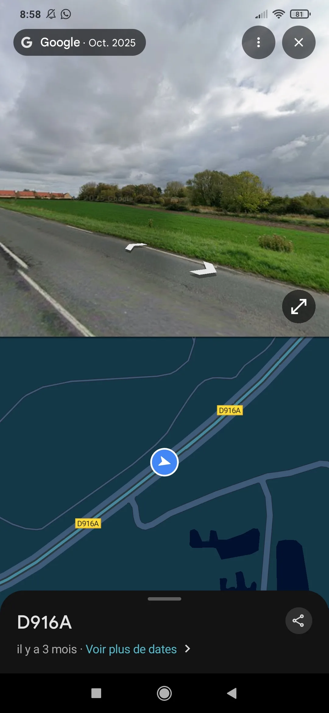 Photo du nid de frelon asiatique signalé à Hoymille