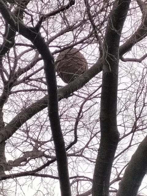 Photo du signalement #882