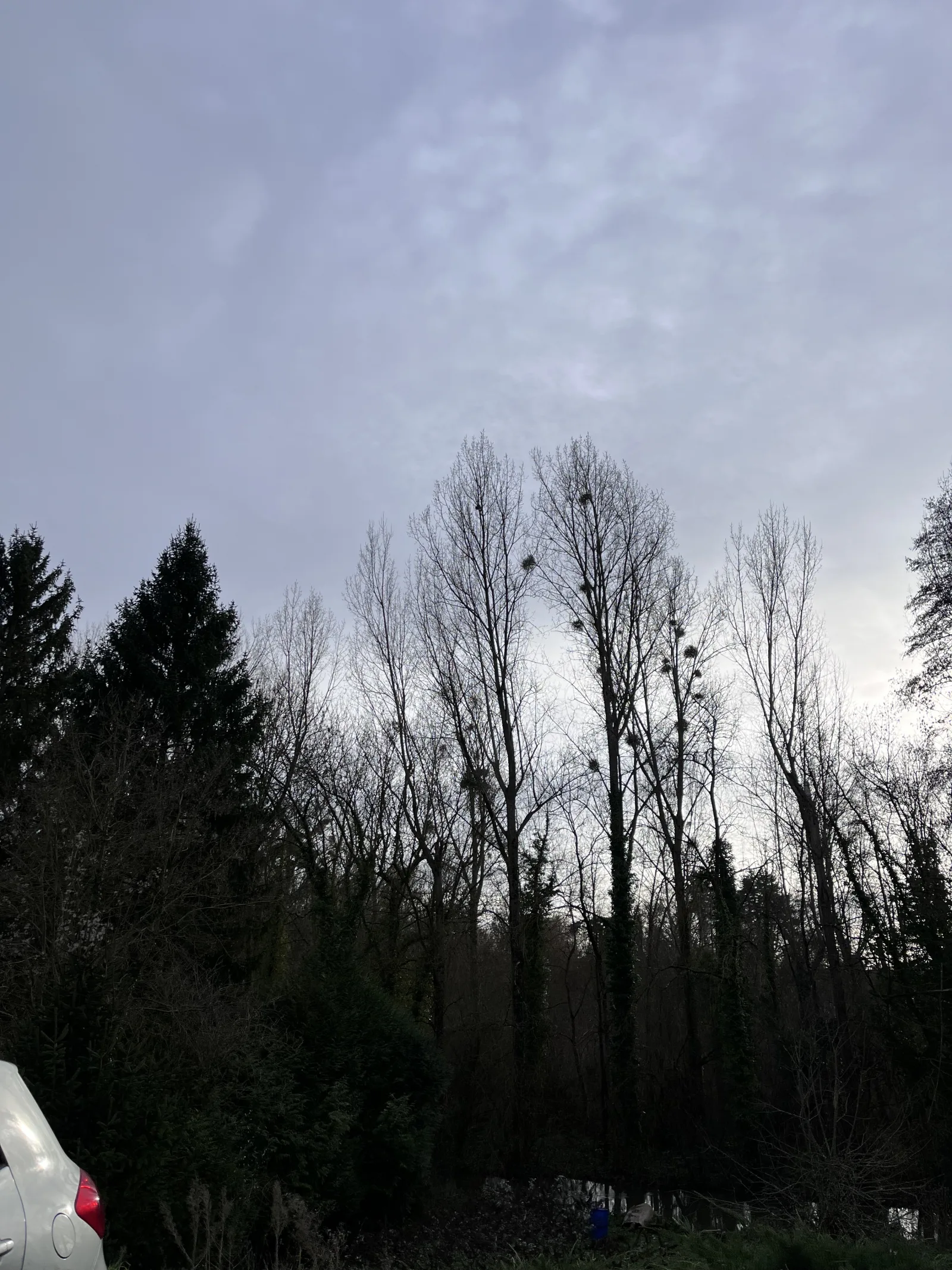 Nid neutralisé à Migné-Auxances