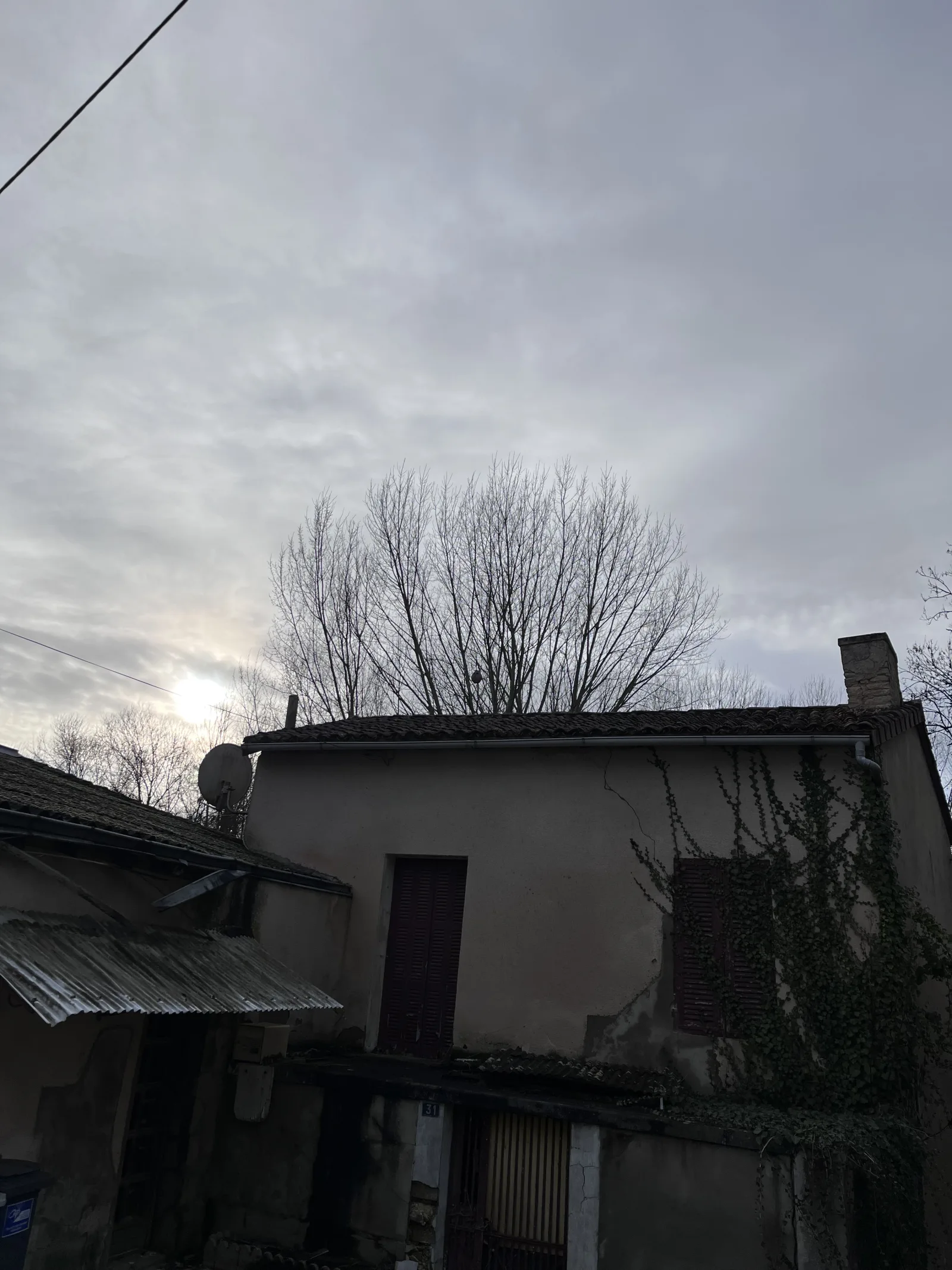 Nid neutralisé à Chasseneuil-du-Poitou