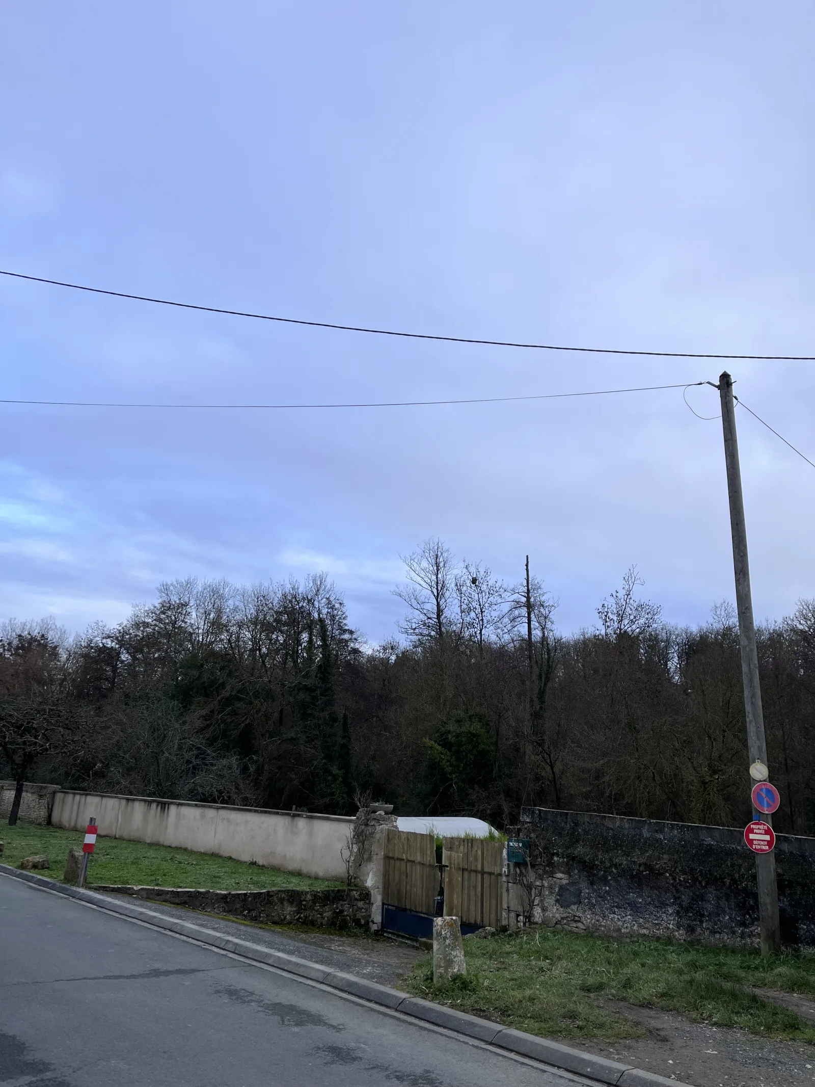 Nid signalé à Migné-Auxances