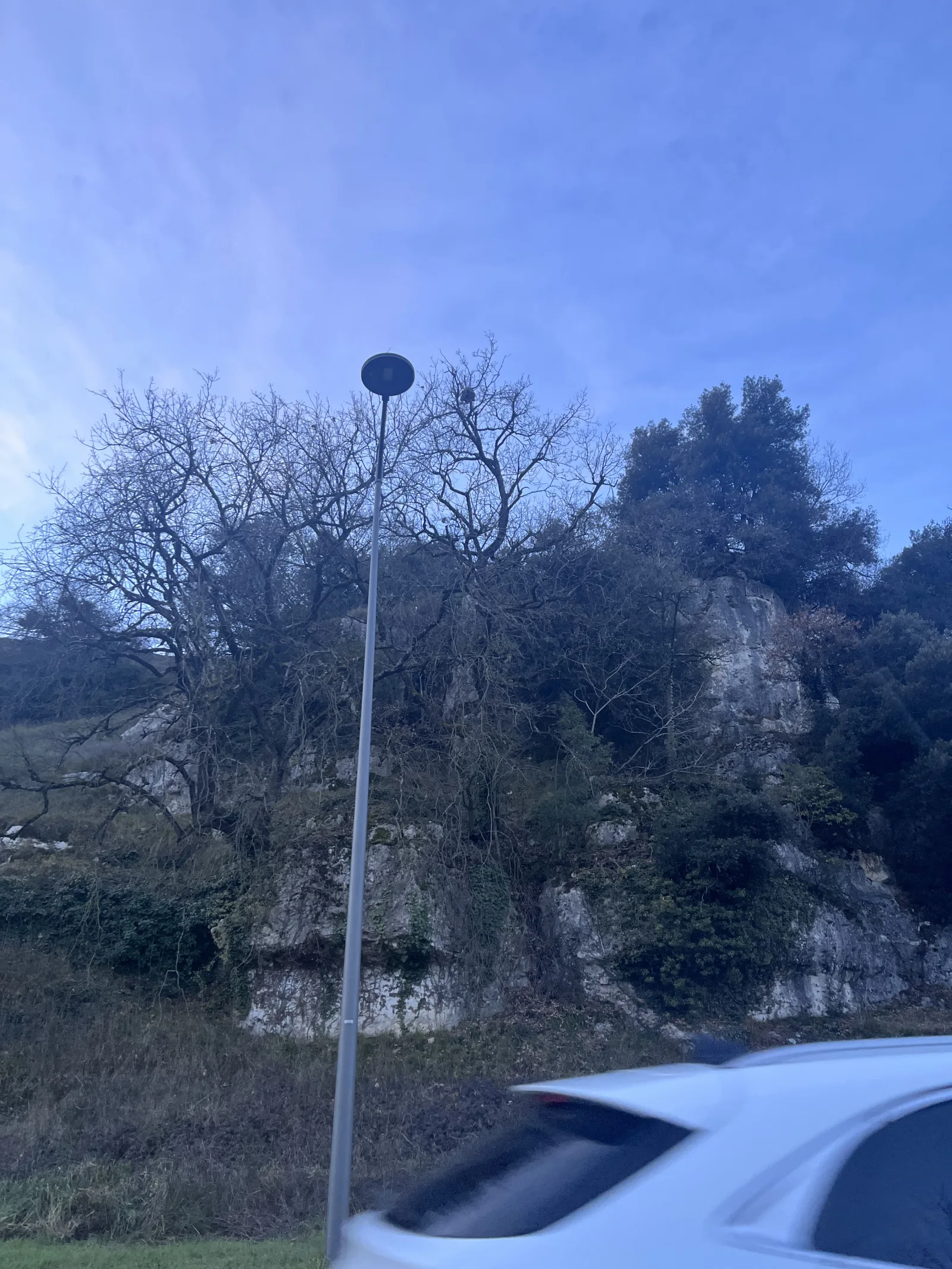 Nid signalé à Poitiers