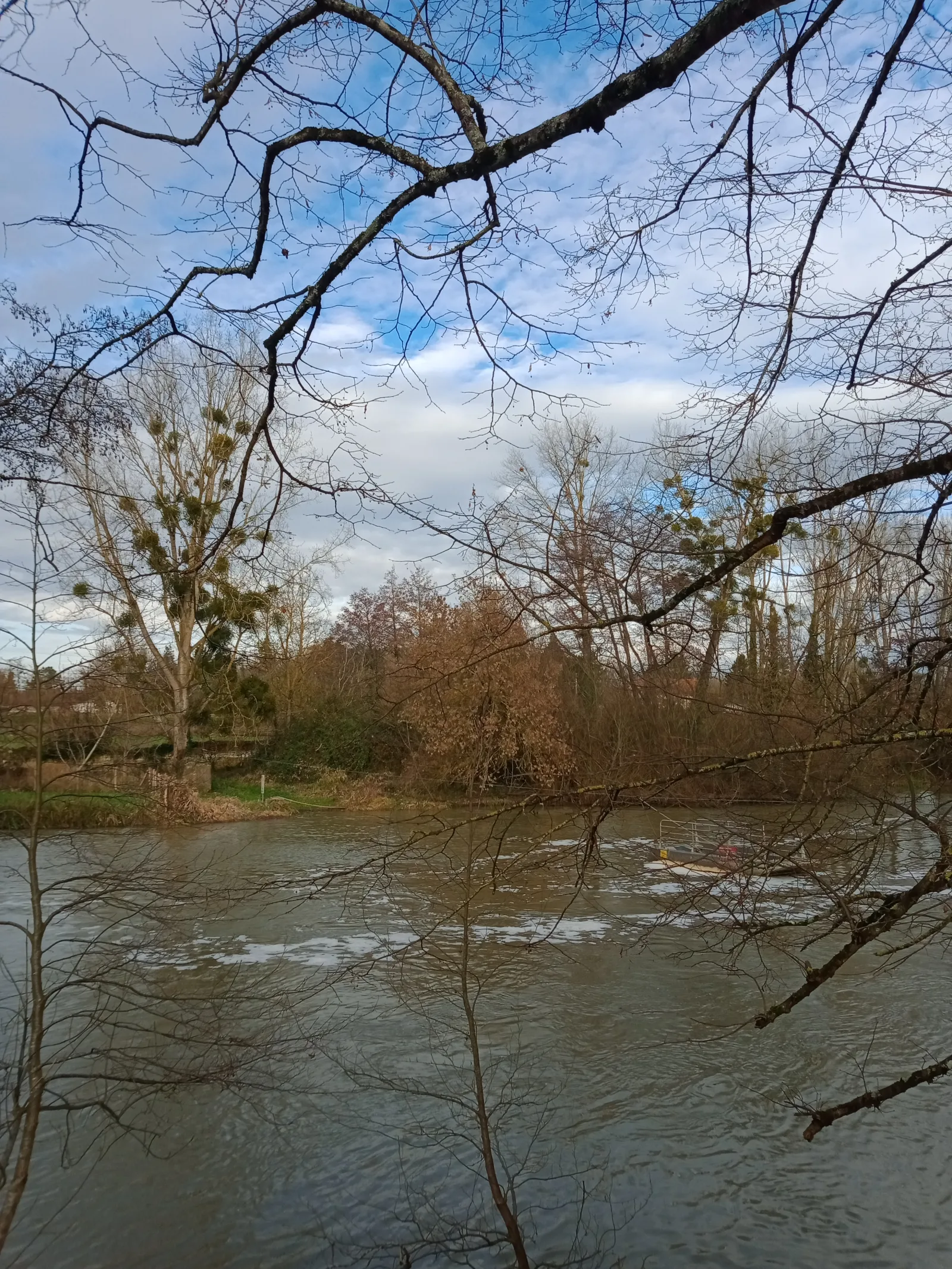 Nid signalé à Naintré