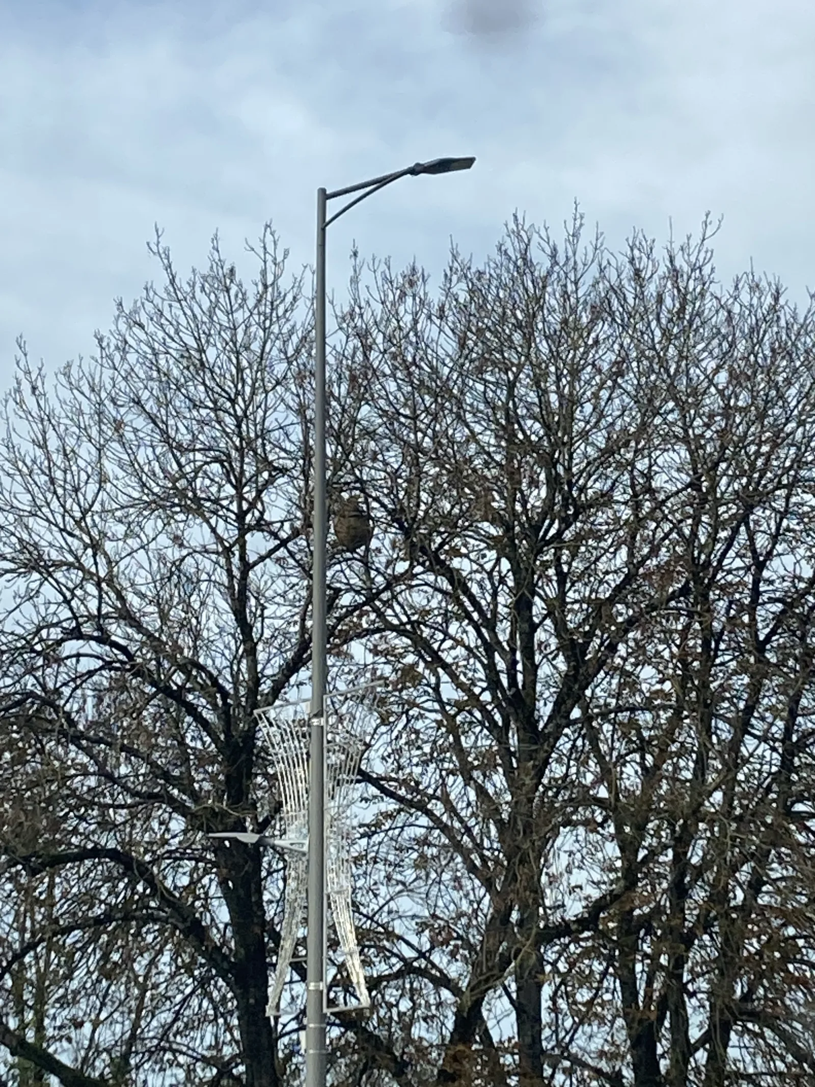 Photo du signalement #894