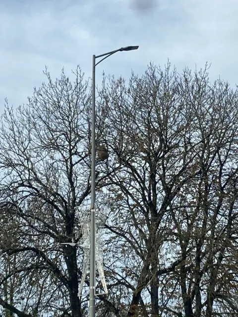 Photo du signalement #894