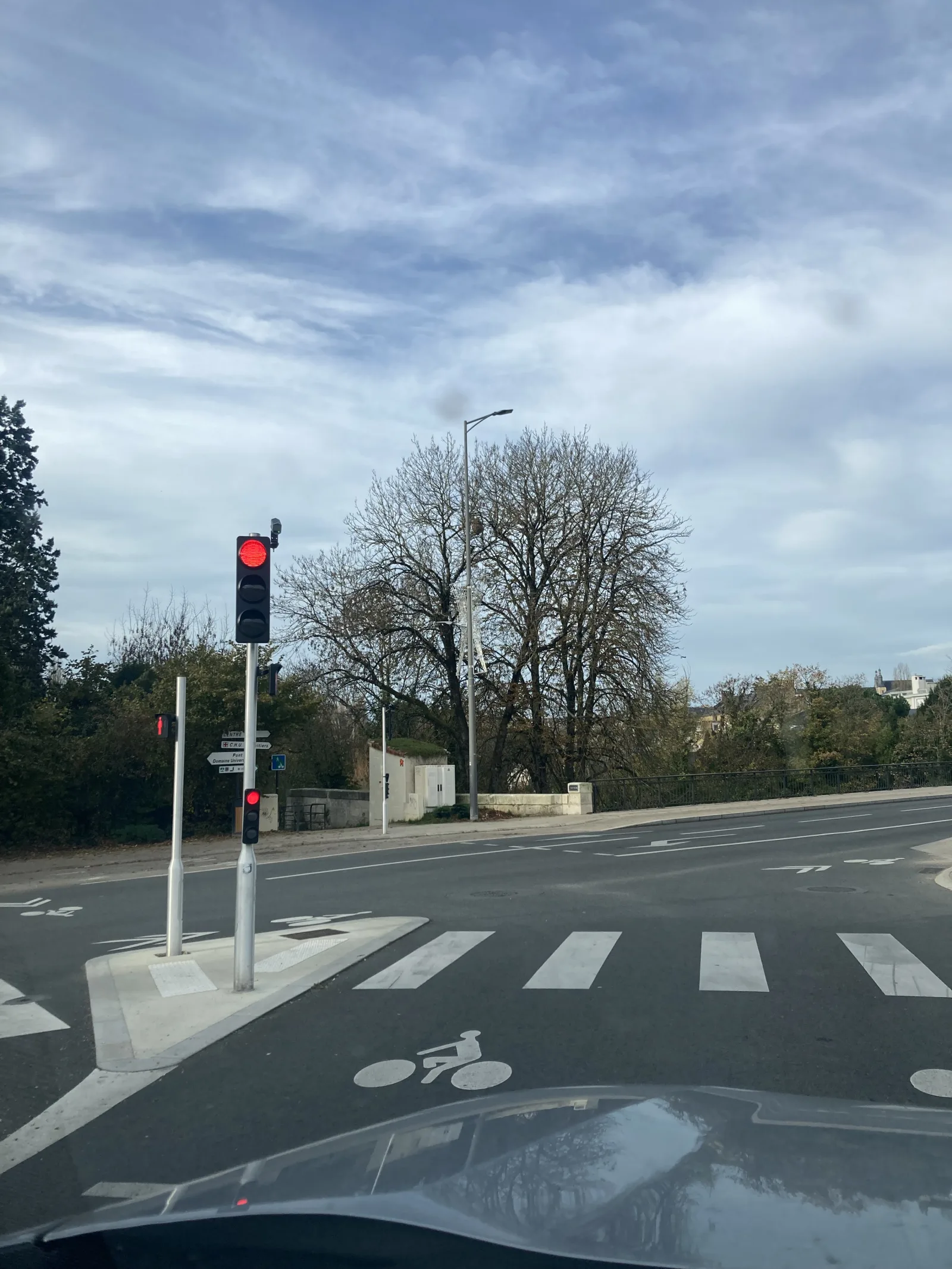 Nid signalé à Poitiers
