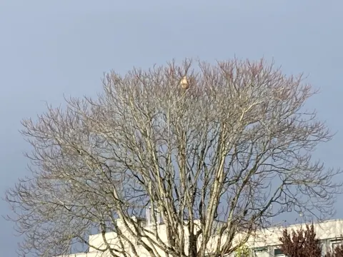 Photo du signalement #895