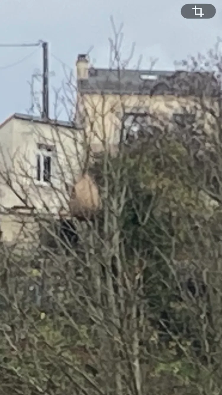 Photo du signalement #896