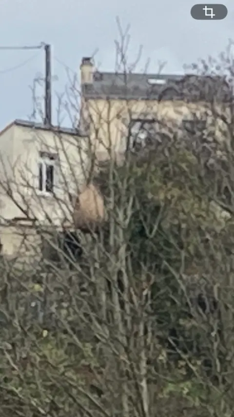 Photo du signalement #896