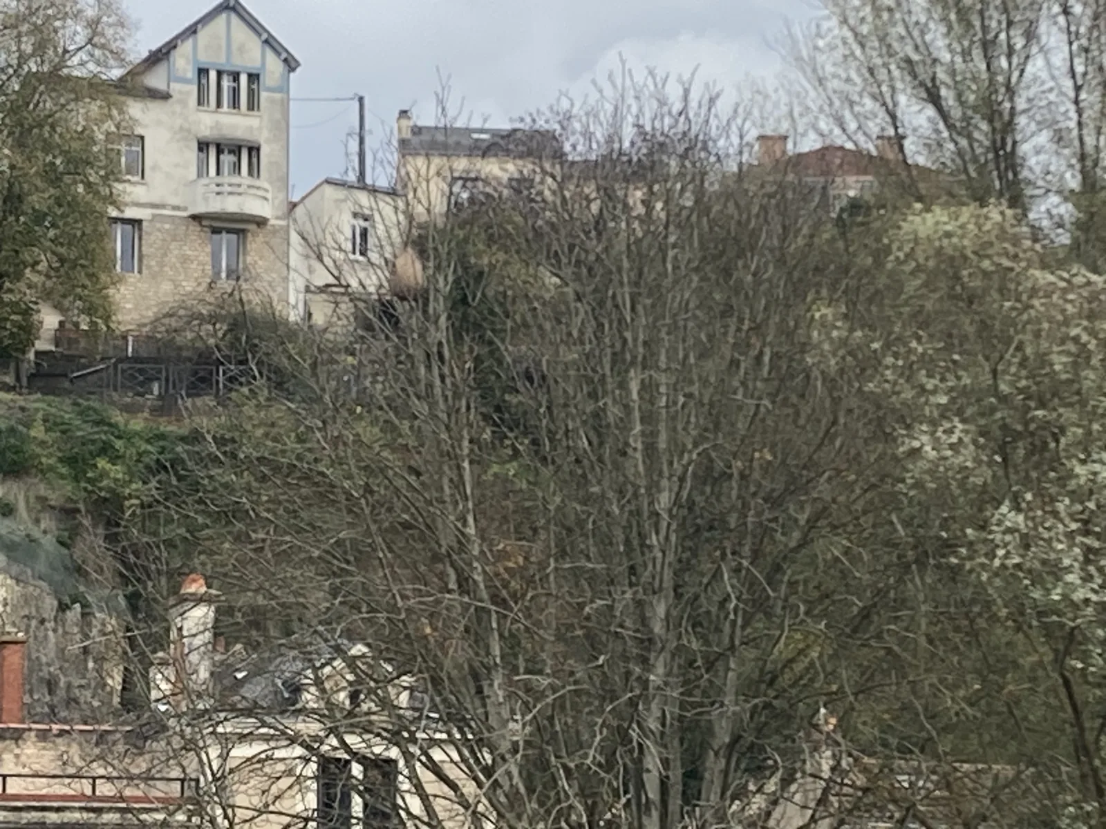 Nid signalé à Poitiers