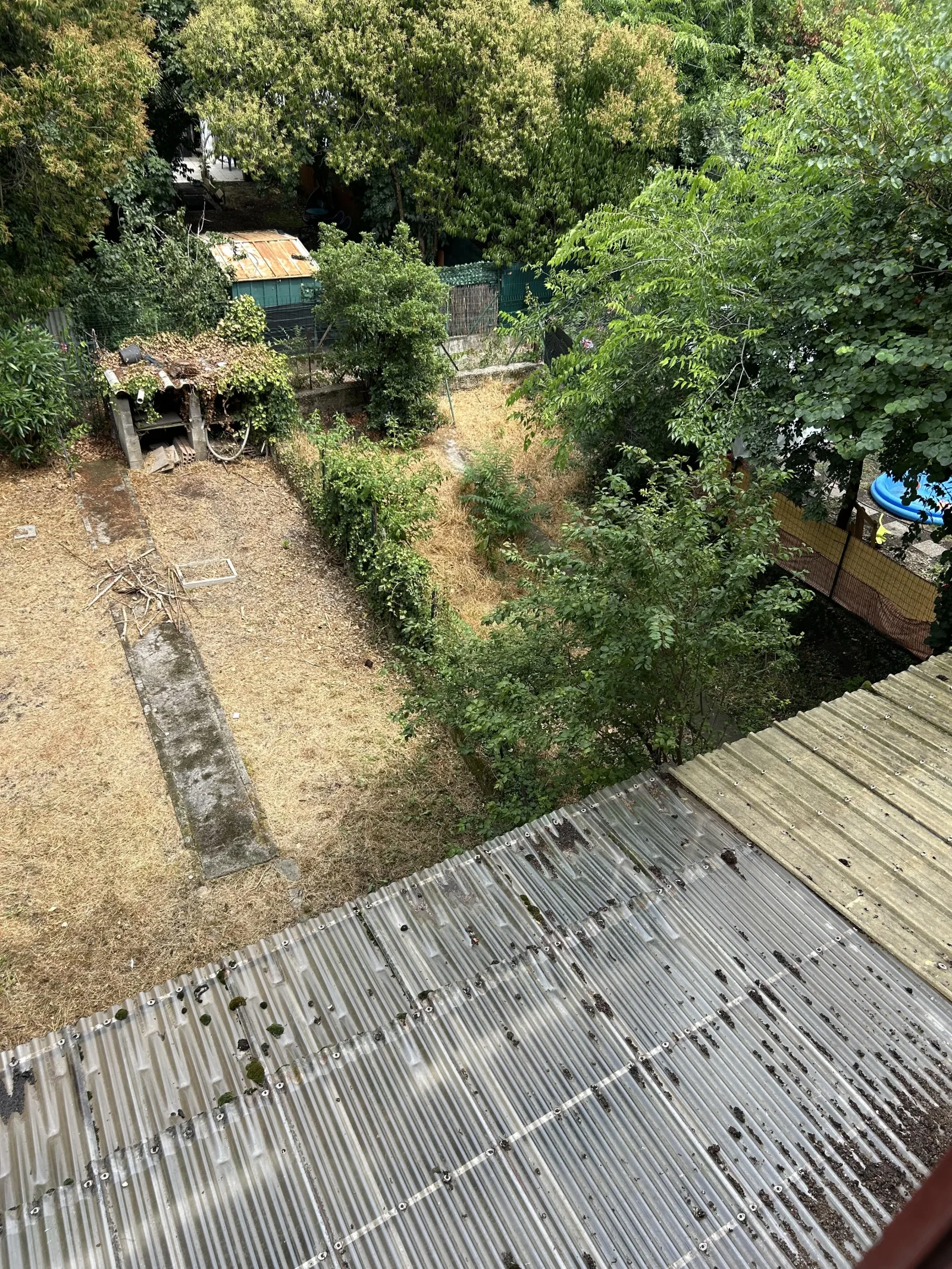 Nid signalé à Valence