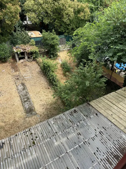 Nid de frelon asiatique à Valence (26) — Confirmé