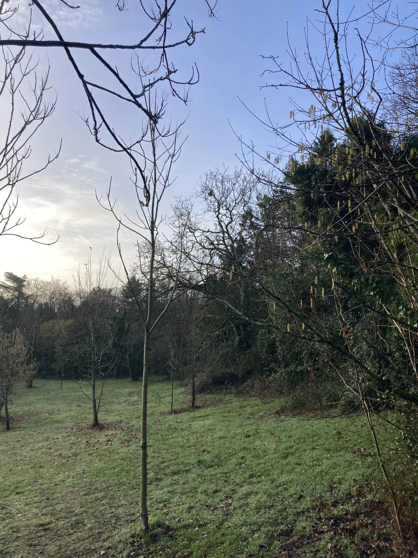 Nid signalé à Poitiers