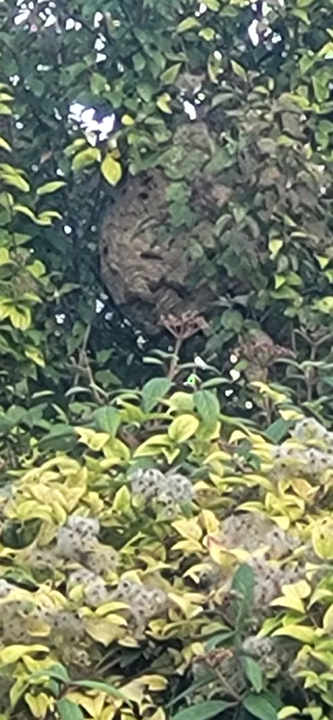 Signalement à Algrange