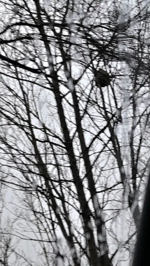 Photo du signalement #925