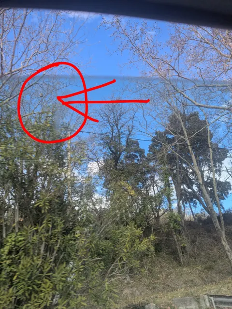 Signalement à Le Boulou