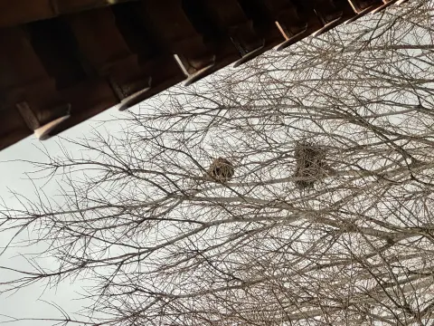 Signalement à Toulon