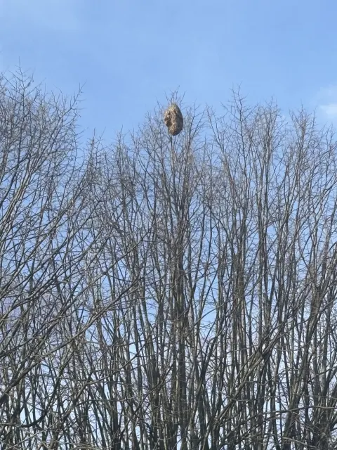 Signalement à Créteil