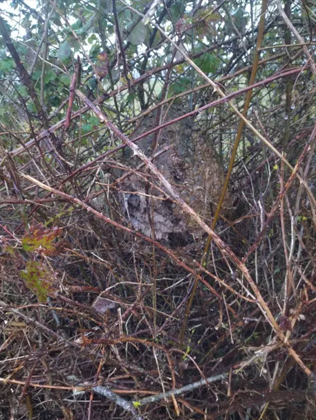 Signalement à Varennes