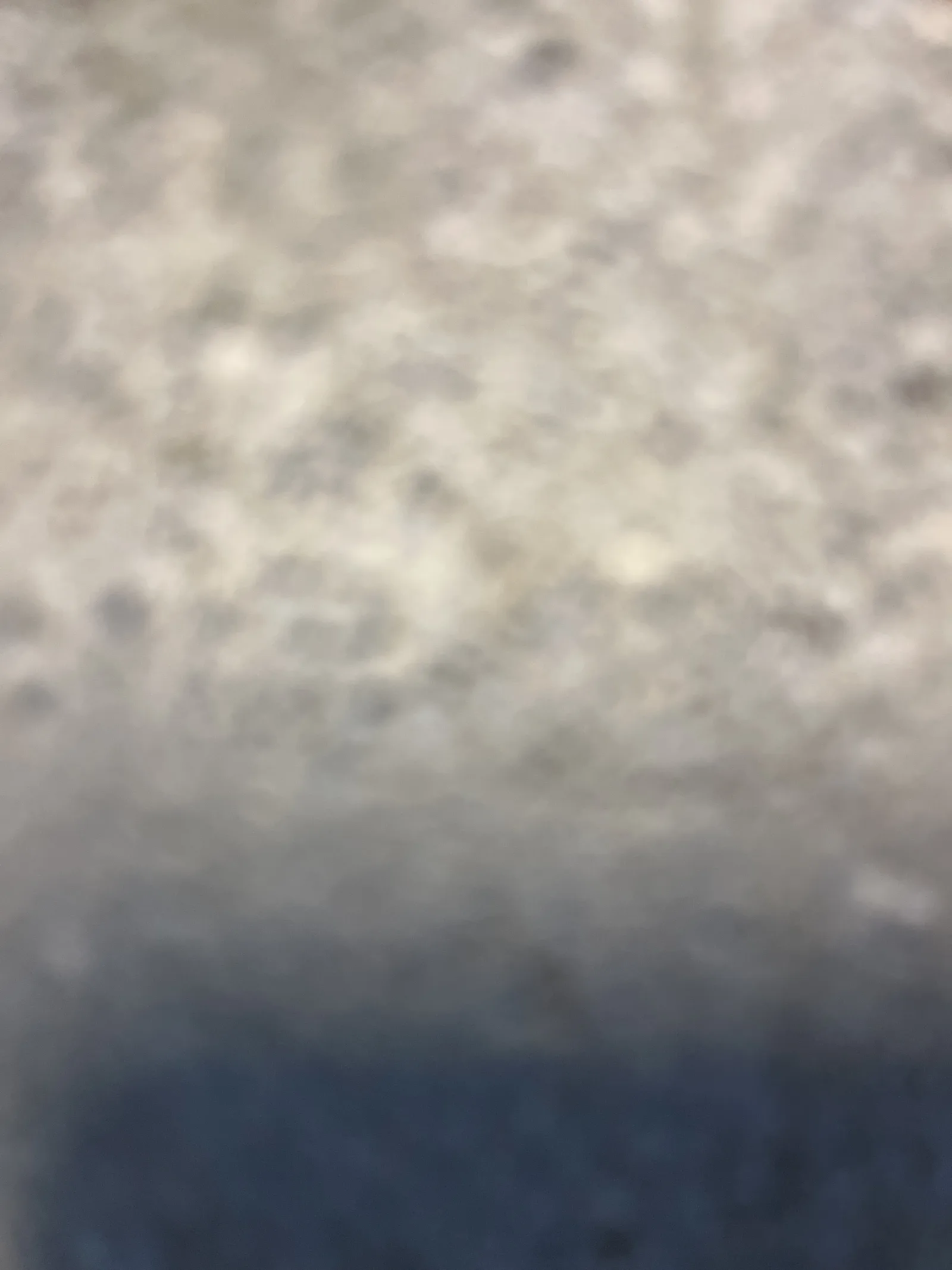 Photo du nid de frelon asiatique signalé à Saint-Martin-la-Pallu