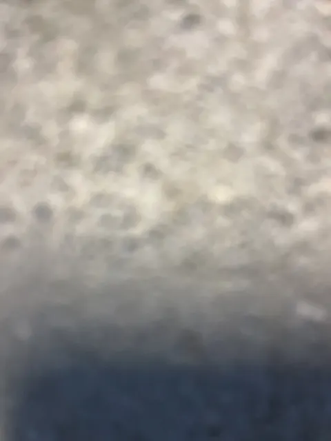 Signalement à Saint-Martin-la-Pallu