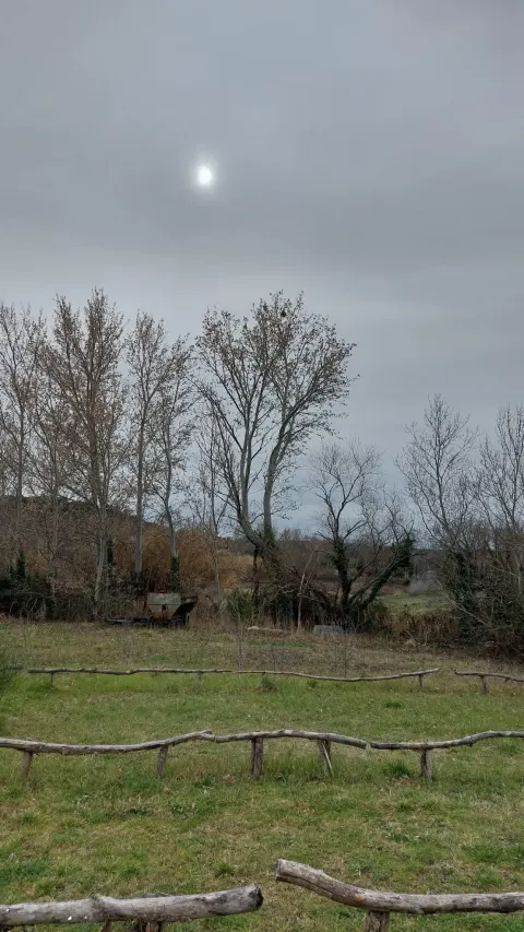 Signalement à Visan