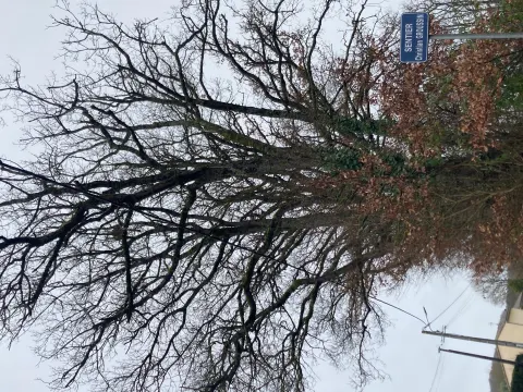 Signalement à La Roche-Posay