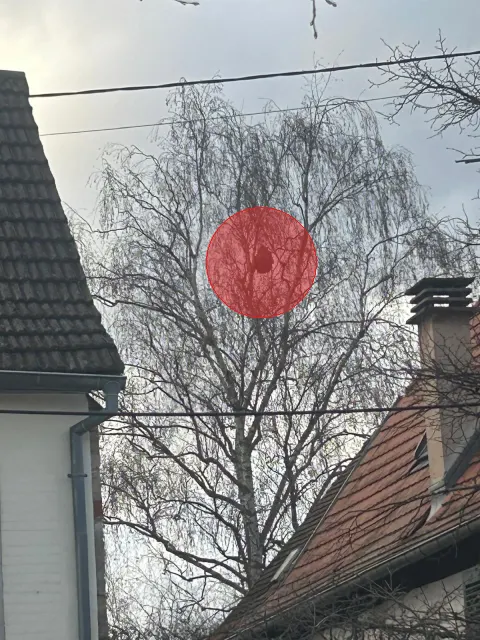 Signalement à Molsheim